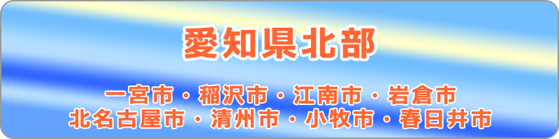 一宮市・稲沢市・江南市・岩倉市・北名古屋市・清州市・小牧市・春日井市のチラシ