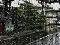 梅雨の雨がもたらす外壁への影響と雨どい破損の懸念点