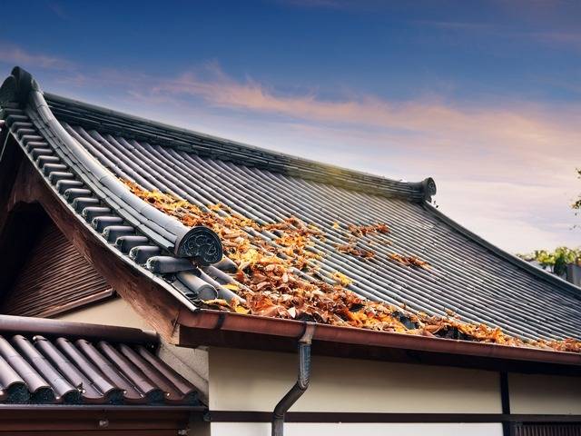 紅葉の季節は雨樋にご注意を
