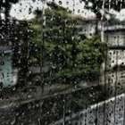 梅雨の雨がもたらす外壁への影響と雨どい破損の懸念点